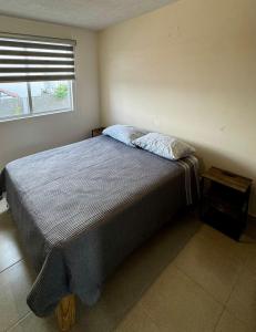 a bedroom with a large bed with a window at Casa completa y equipada in Saucillo de la Joya +5 photos