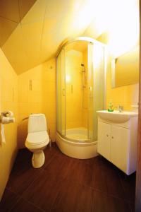 烏斯奇基的住宿－Noclegi Pod Orlikiem CENTRUM，带淋浴、卫生间和盥洗盆的浴室