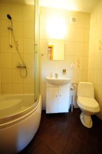 a bathroom with a sink and a toilet and a shower at Noclegi Pod Orlikiem CENTRUM in Ustrzyki Dolne
