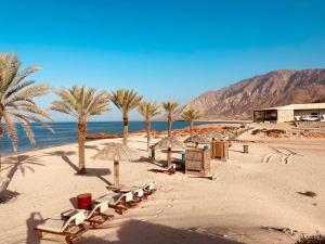 a beach with chairs and umbrellas and palm trees at Sifah Seascape House in Muscat