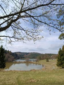a view of a pond in a park at Apartmán s terasou REZIDENCE 300 Všemina in Všemina