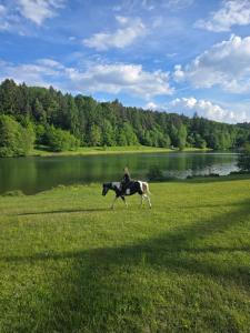 a person riding a horse in a field next to a lake at Apartmán s terasou REZIDENCE 300 Všemina in Všemina