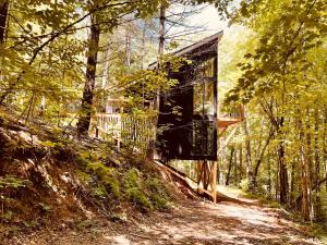 a glass house in the middle of a forest at Treeangle Treehouse in Morganton