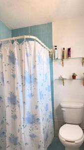 a bathroom with a toilet and a shower curtain at Bed & Breakfast in El Gallinero