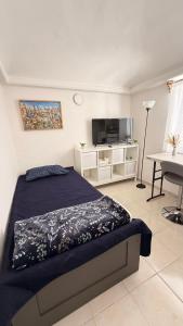 a bedroom with a bed and a flat screen tv at Bed & Breakfast in El Gallinero