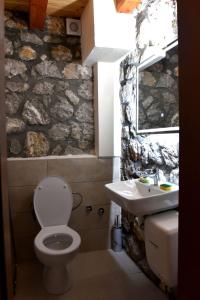 a bathroom with a white toilet and a sink at Vila Teodora in Mojkovac