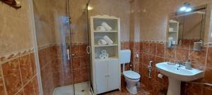 a bathroom with a shower and a toilet and a sink at Katica Apartman in Kehidakustány +11 photos