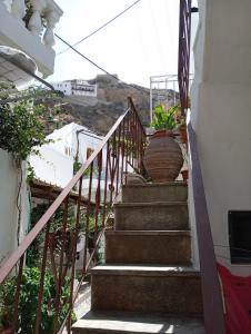 a stairway with two potted plants on it at Myrto's traditional house in Skiros