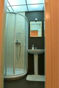 uma casa de banho com um chuveiro e um lavatório. em Bojan Central Apartment em Novi Sad