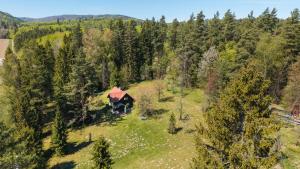 an aerial view of a house in the middle of a forest at Špengel chata in Smižany
