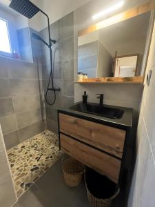 a bathroom with a sink and a shower at Les Gîtes Du Saro in Chabestan +37 photos