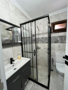 a bathroom with a shower and a sink and a toilet at Serona Apart & Bungalow in Çamlıhemşin