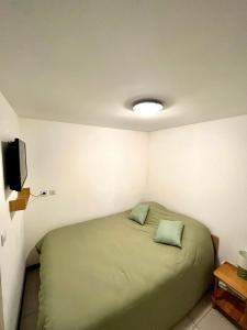 a bedroom with a bed with two green pillows at Studio Cosy et Moderne in Saint-Ambroix