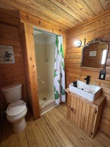 a bathroom with a toilet and a sink in a cabin at Katie's Cozy Cabins in Tombstone