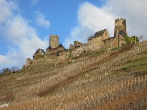 een kasteel bovenop een heuvel met wijngaarden bij B&U Fewo Scherhag in Alken