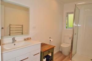 a bathroom with a sink and a toilet and a mirror at Diana's Place in Moeraki