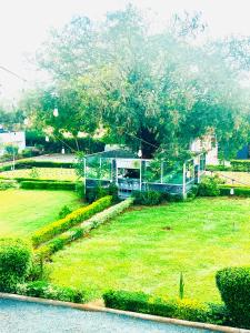 a house on a grass field with a tree at Kithumulani Resort in Tiva +9 photos
