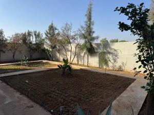 a garden with a plant in the middle of a road at villa agadir in Glalcha