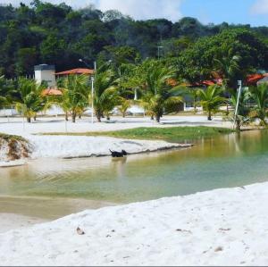 a animal laying in the water on a beach at Casa no centro de Ponta de Pedras - Casa da Baleia VILA ORION in Goiana