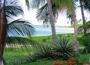 a view of a beach with palm trees and flowers at Casa no centro de Ponta de Pedras - Casa da Baleia VILA ORION in Goiana