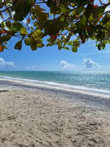 a view of a beach with the ocean at Casa no centro de Ponta de Pedras - Casa da Baleia VILA ORION in Goiana