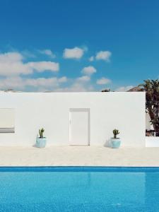 a white building with two potted plants next to a swimming pool at Las Negras Olivencia Natural in Las Negras
