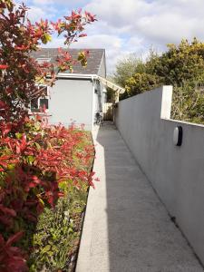 a walkway in a garden with a white garage at The Lodge in Galway