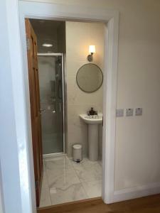 a bathroom with a shower and a sink at The Lodge in Galway +6 photos