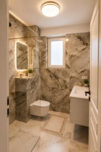 a bathroom with a shower and a toilet and a sink at Zori de Bucovina Apartament in Gura Humorului +15 photos