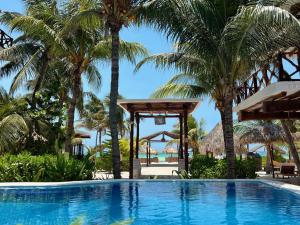 a swimming pool at a resort with palm trees at Palapas del Sol in Holbox Island