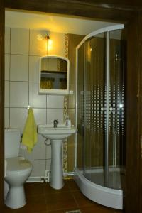 Vonios kambarys apgyvendinimo įstaigoje Pensiunea Agroturistica Casa Coliniţa