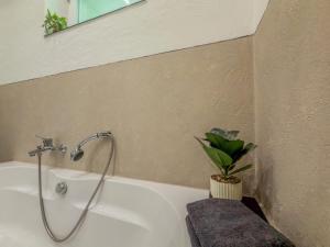 a bathroom with a bath tub with a plant in it at Apartment Franz in Sattendorf +26 photos