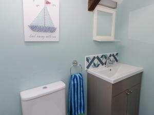 a bathroom with a sink and a toilet and a mirror at Swallows Retreat in Kilgetty +16 photos
