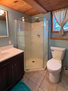 a bathroom with a shower with a toilet and a sink at Sunrise Place Bed & Breakfast in DʼEscousse