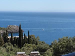 a view of the ocean from a hill with trees at Fotini Studios in Paleokastritsa