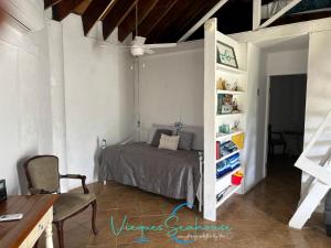 a bedroom with a bed and a book shelf at Cozy chill island roundhouse magic 2 miles from beach-The Vieques Seahouse in Moscou