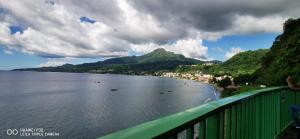 a view of a body of water with a mountain at La Case Saint-Pierre in Saint-Pierre