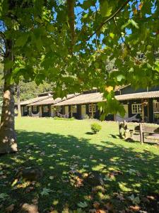 a building in a field with a tree in the foreground at Refugio MontSerrat in Urubici