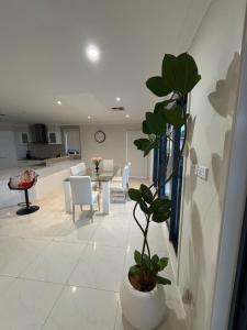 a living room with a plant in a white vase at Bluewater sanctuary in Point Clare