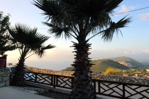two palm trees in front of a fence at Pigeon Cave Apartments in Ksamil