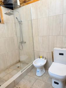 a bathroom with a toilet and a glass shower at Cabaña Manzano Historico Punta Negra Lodge 2 in Tunuyán +22 photos