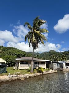 a palm tree in front of a house next to the water at Fare Holidays - Raiatea in Taputapuapea