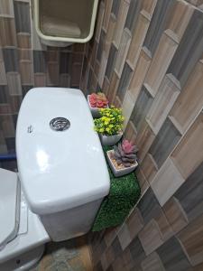 a toilet in a bathroom with twootted plants at Seaview Transient House in Bucayao +12 photos