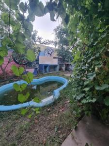 a pond in the yard with a bench in the background at Mountain House with Wonderful View in Las Compuertas