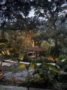 a park with a picnic table in a park with trees at Casa Xunaan in Gómez Farías