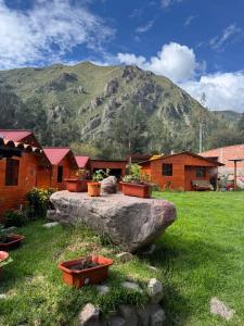 a group of potted plants on a rock with a mountain at New Experiences Valle sagrado in Urubamba