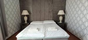 a bedroom with a bed with two lamps on both sides at Hotel Velky Meder in Veľký Meder