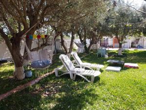 two lawn chairs sitting in the grass under a tree at Roni's Place in Nea Kallikrateia