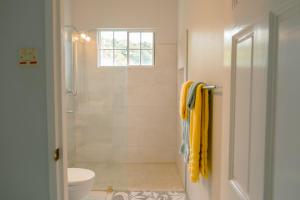 a bathroom with a shower and a toilet at Spacious Apartment Mountain & Sea Views in Mount Helicon +27 photos