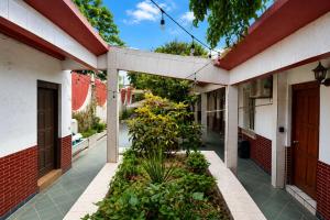 ein Innenhof eines Gebäudes mit einer Pflanze in der Unterkunft Privada Guadalupe in Monterrey